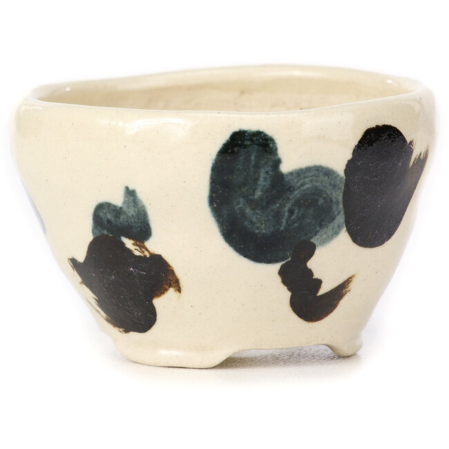 Pot à bonsaï rond multicolore blanc par Bonsai - 70 x 70 x 45 mm