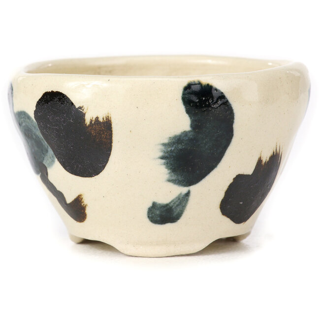 Vaso bonsai tondo bianco multicolore by Bonsai - 70 x 70 x 45 mm