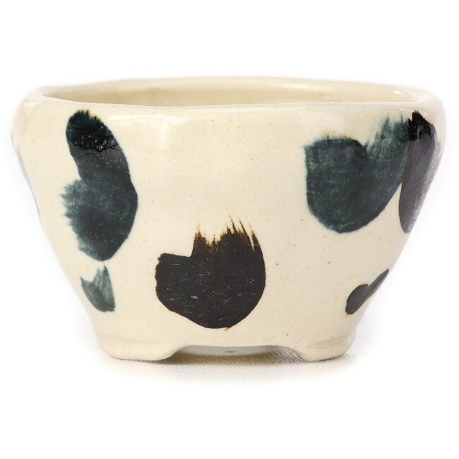 Vaso bonsai tondo bianco multicolore by Bonsai - 70 x 70 x 45 mm