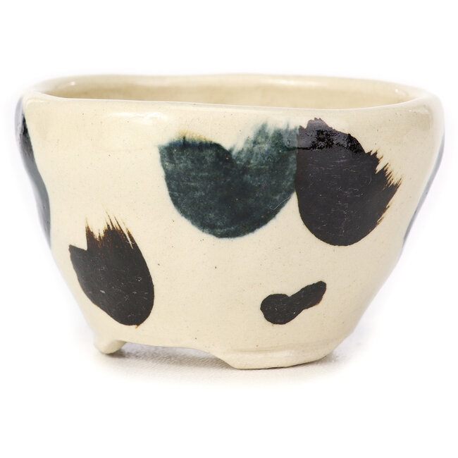 Vaso bonsai tondo bianco multicolore by Bonsai - 70 x 70 x 45 mm