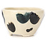 Pot à bonsaï rond multicolore blanc par Bonsai - 70 x 70 x 45 mm