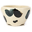 Pot à bonsaï rond multicolore blanc par Bonsai - 70 x 70 x 45 mm