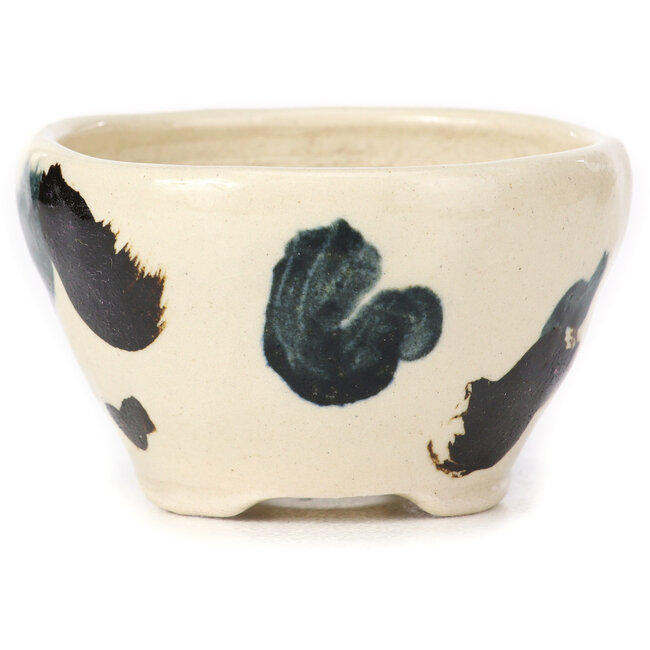 Vaso bonsai tondo bianco multicolore by Bonsai - 70 x 70 x 45 mm