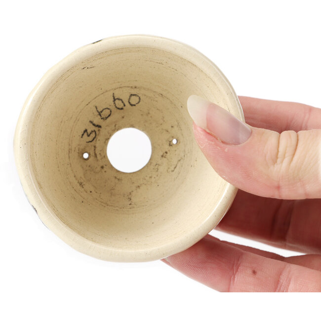 Vaso bonsai tondo bianco multicolore by Bonsai - 70 x 70 x 45 mm