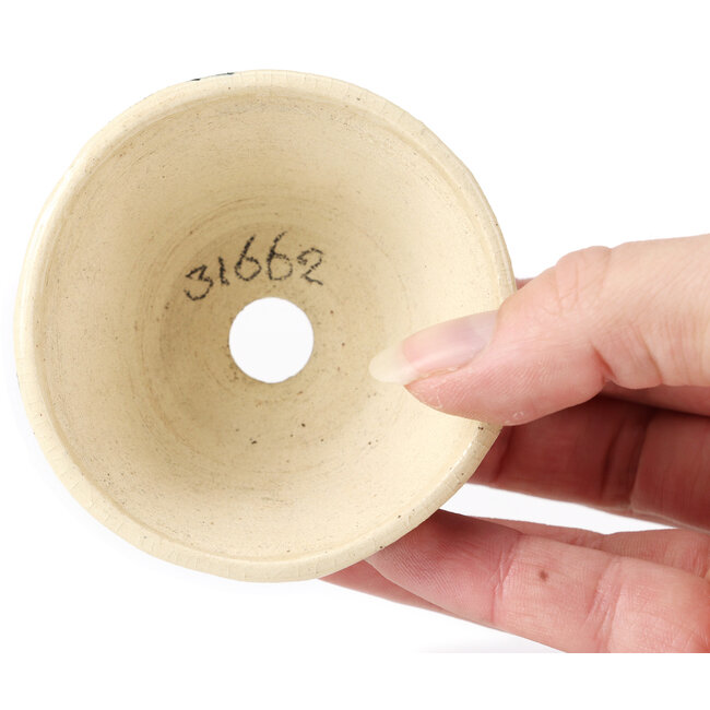 Pot à bonsaï rond multicolore blanc par Bonsai - 75 x 75 x 45 mm