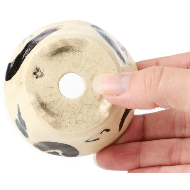 Pot à bonsaï rond multicolore blanc par Bonsai - 75 x 75 x 45 mm