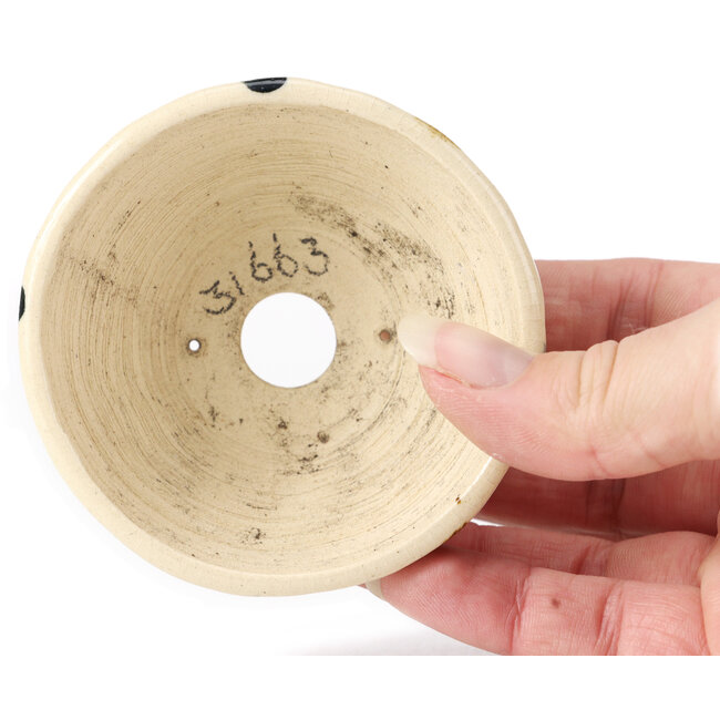 Vaso bonsai tondo bianco multicolore by Bonsai - 80 x 80 x 40 mm