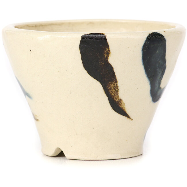 Round white multicolor bonsai pot by Bonsai - 75 x 75 x 55 mm