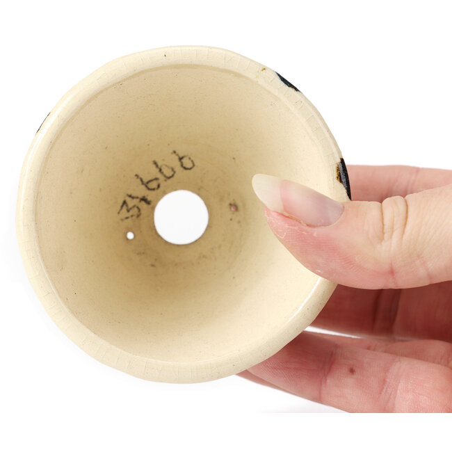 Pot à bonsaï rond multicolore blanc par Bonsai - 75 x 75 x 55 mm