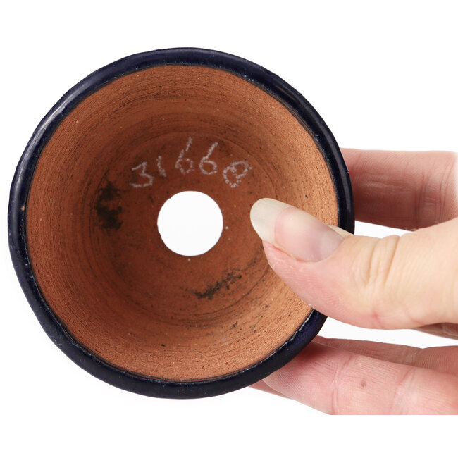 Ronde blauwe bonsaipot van Bonsai - 80 x 80 x 45 mm