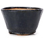 Vaso bonsai rotondo blu di Bonsai - 70 x 70 x 45 mm