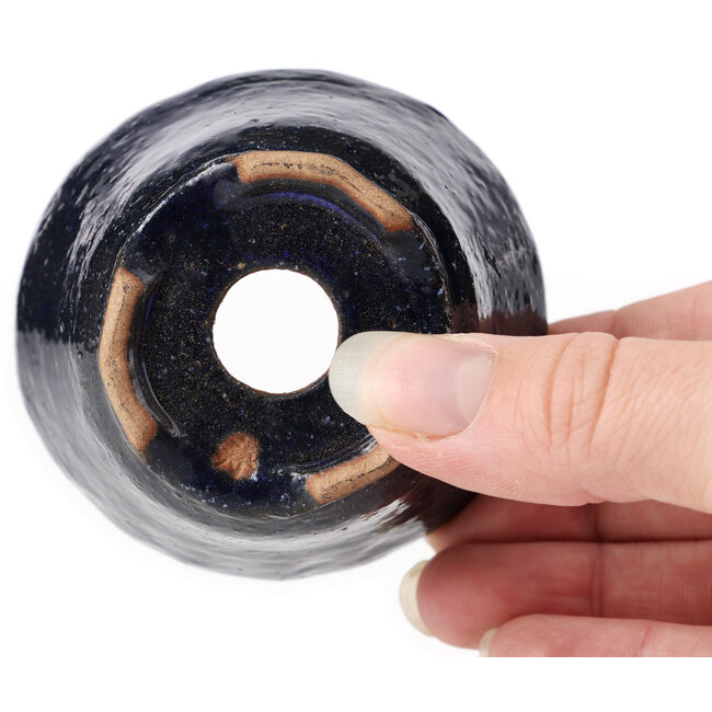 Vaso bonsai rotondo blu di Bonsai - 70 x 70 x 45 mm