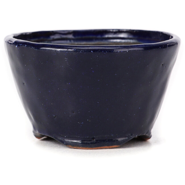 Vaso bonsai rotondo blu di Bonsai - 70 x 70 x 40 mm