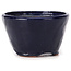 Vaso bonsai rotondo blu di Bonsai - 70 x 70 x 40 mm