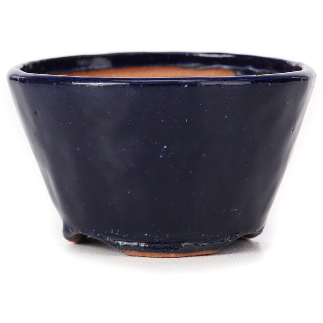 Round blue bonsai pot by Bonsai - 70 x 70 x 40 mm