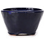 Round blue bonsai pot by Bonsai - 70 x 70 x 40 mm