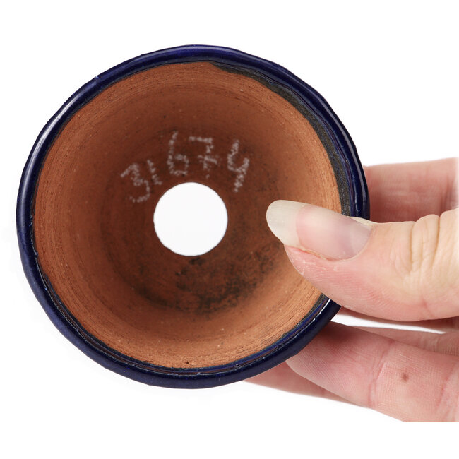 Round blue bonsai pot by Bonsai - 70 x 70 x 40 mm