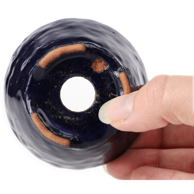 Round blue bonsai pot by Bonsai - 70 x 70 x 40 mm
