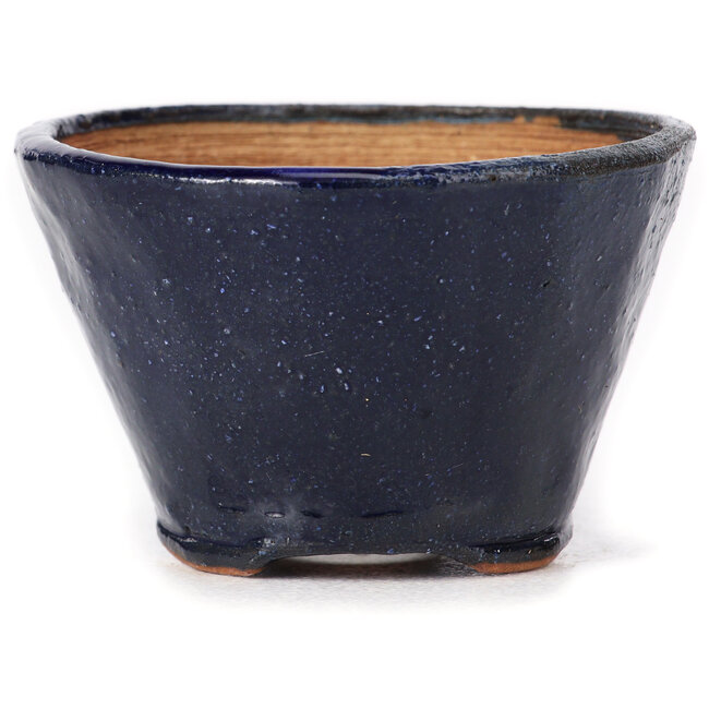 Vaso bonsai rotondo blu di Bonsai - 65 x 65 x 45 mm