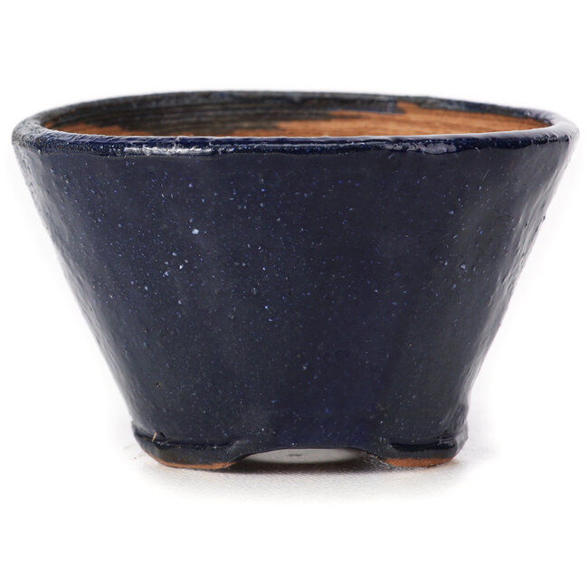 Pot à bonsaï rond bleu par Bonsai - 65 x 65 x 45 mm