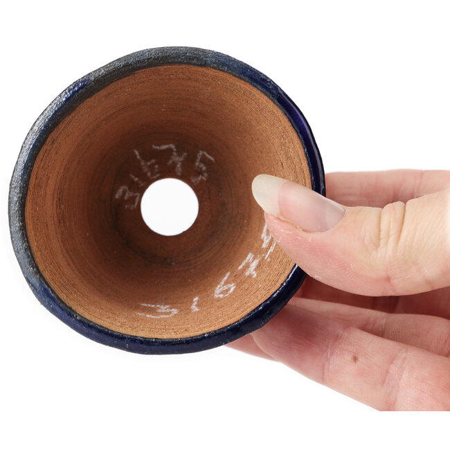 Pot à bonsaï rond bleu par Bonsai - 65 x 65 x 45 mm