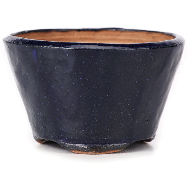 Vaso bonsai rotondo blu di Bonsai - 70 x 70 x 45 mm
