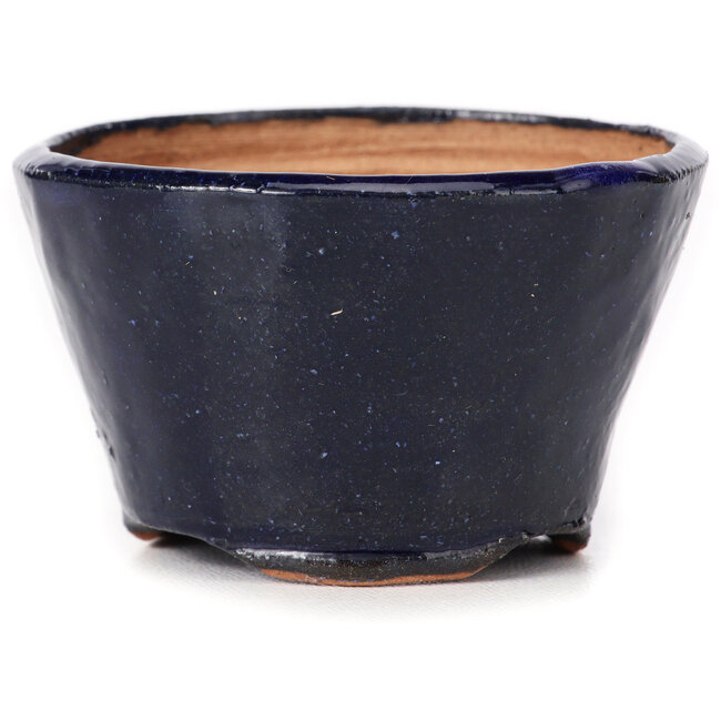 Vaso bonsai rotondo blu di Bonsai - 70 x 70 x 45 mm