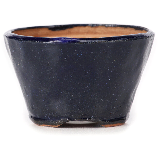 Vaso bonsai rotondo blu di Bonsai - 70 x 70 x 45 mm