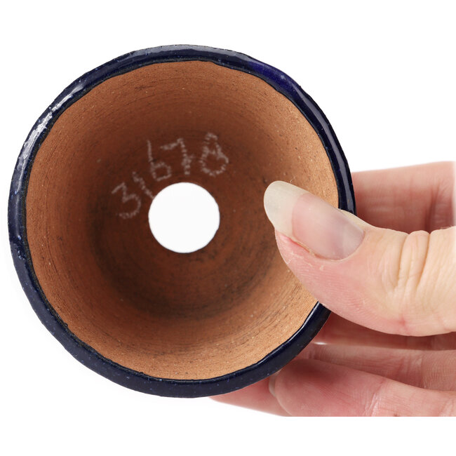 Round blue bonsai pot by Bonsai - 70 x 70 x 45 mm