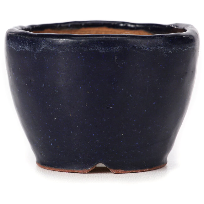 Round blue bonsai pot by Bonsai - 70 x 70 x 50 mm