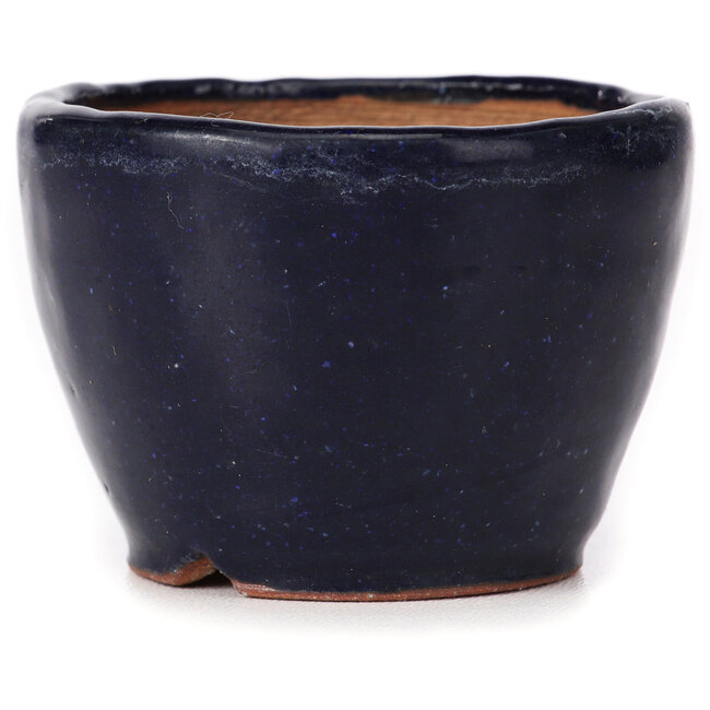 Maceta de bonsái redonda azul de Bonsai - 70 x 70 x 50 mm