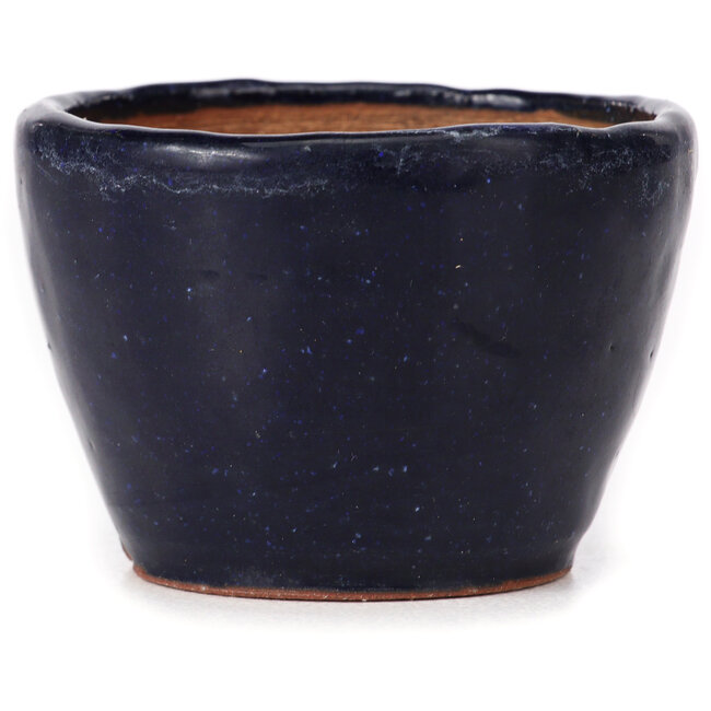 Round blue bonsai pot by Bonsai - 70 x 70 x 50 mm