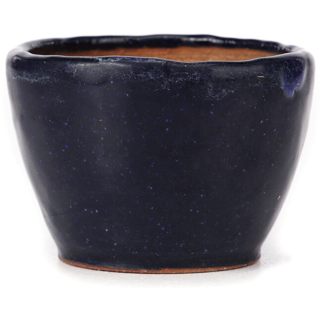 Vaso bonsai rotondo blu di Bonsai - 70 x 70 x 50 mm