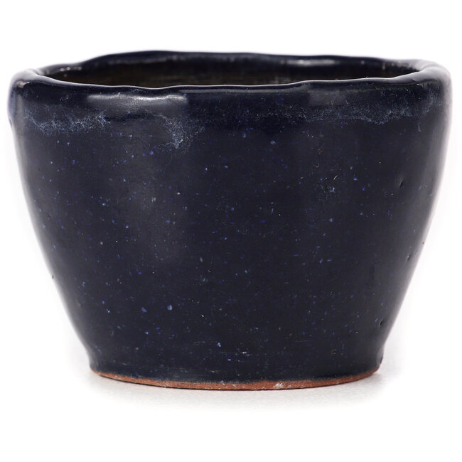 Round blue bonsai pot by Bonsai - 70 x 70 x 50 mm