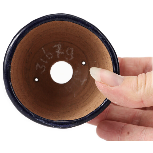 Vaso bonsai rotondo blu di Bonsai - 70 x 70 x 50 mm