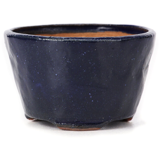 Round blue bonsai pot by Bonsai - 70 x 70 x 45 mm