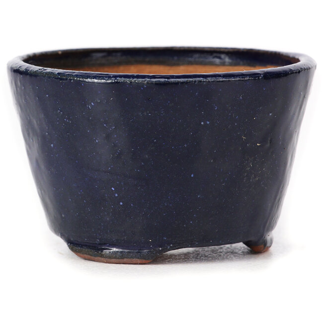 Round blue bonsai pot by Bonsai - 70 x 70 x 45 mm