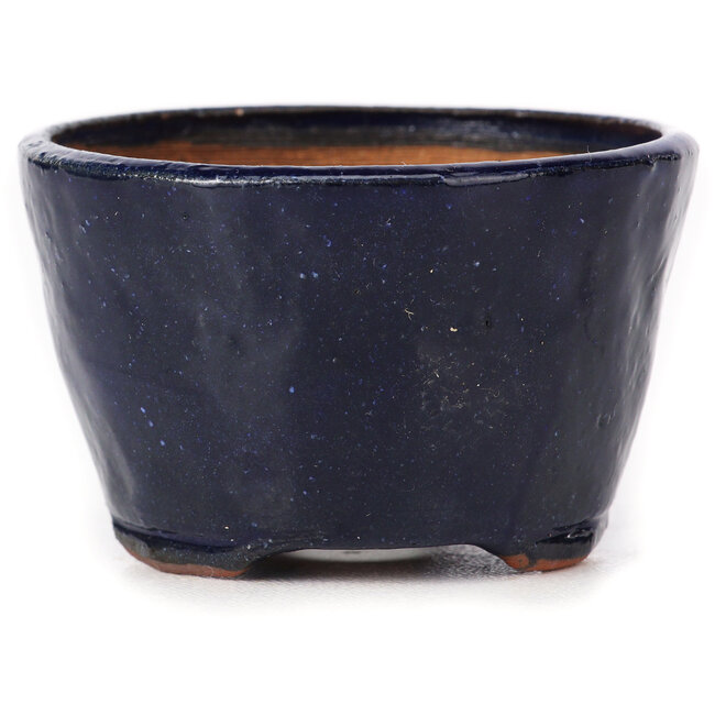 Vaso bonsai rotondo blu di Bonsai - 70 x 70 x 45 mm