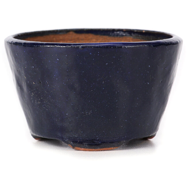 Round blue bonsai pot by Bonsai - 70 x 70 x 45 mm