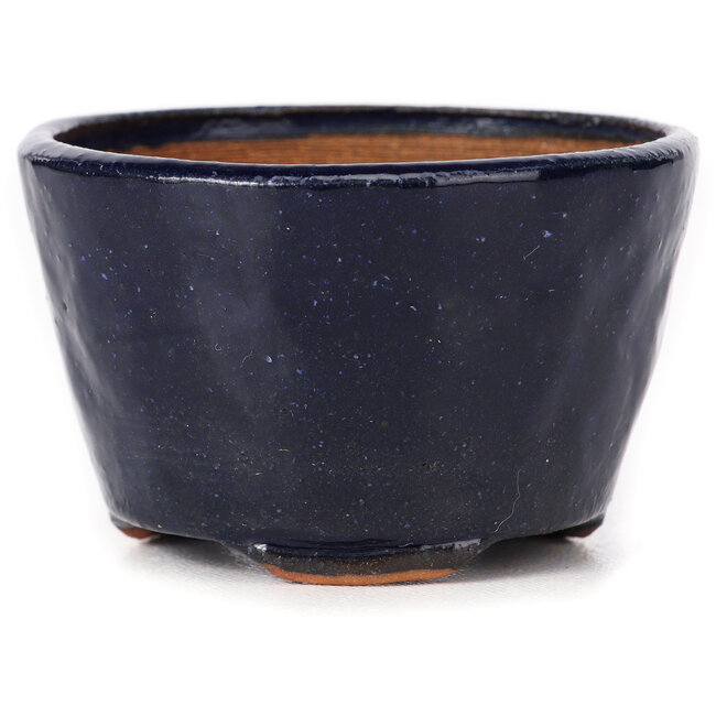 Vaso bonsai rotondo blu di Bonsai - 70 x 70 x 45 mm