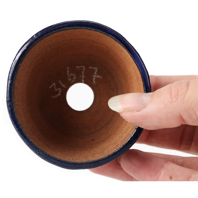 Round blue bonsai pot by Bonsai - 70 x 70 x 45 mm