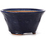 Round blue bonsai pot by Bonsai - 80 x 80 x 40 mm