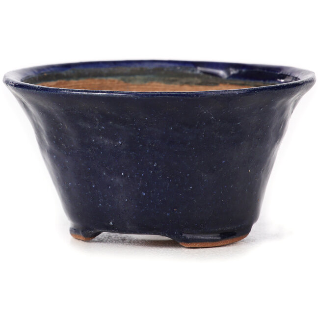 Pot à bonsaï rond bleu par Bonsai - 80 x 80 x 40 mm