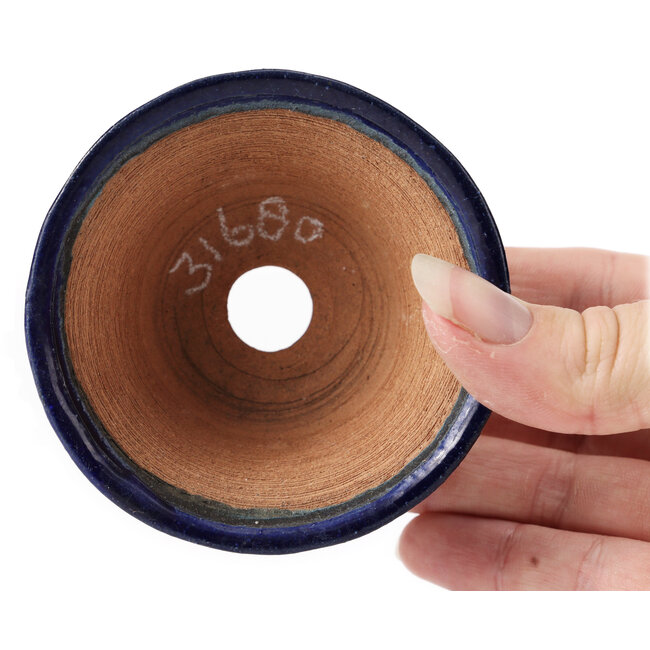 Vaso bonsai rotondo blu di Bonsai - 80 x 80 x 40 mm