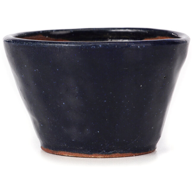 Vaso bonsai rotondo blu di Bonsai - 70 x 70 x 45 mm