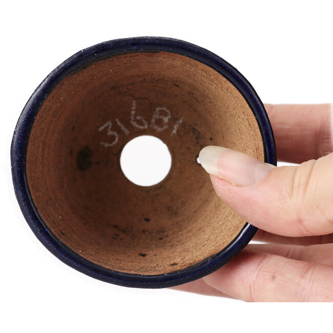 Maceta de bonsái redonda azul de Bonsai - 70 x 70 x 45 mm