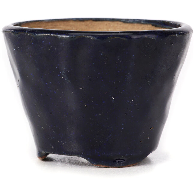 Vaso bonsai rotondo blu di Bonsai - 65 x 65 x 50 mm