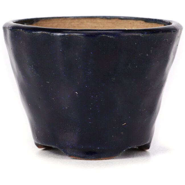 Vaso bonsai rotondo blu di Bonsai - 65 x 65 x 50 mm