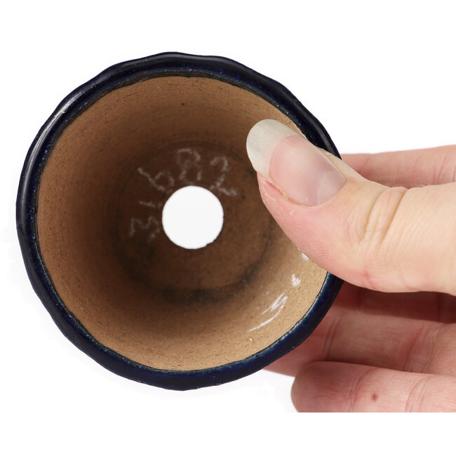 Round blue bonsai pot by Bonsai - 65 x 65 x 50 mm