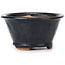 Vaso bonsai rotondo blu di Bonsai - 70 x 70 x 40 mm
